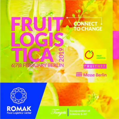 Image number 4 of the company